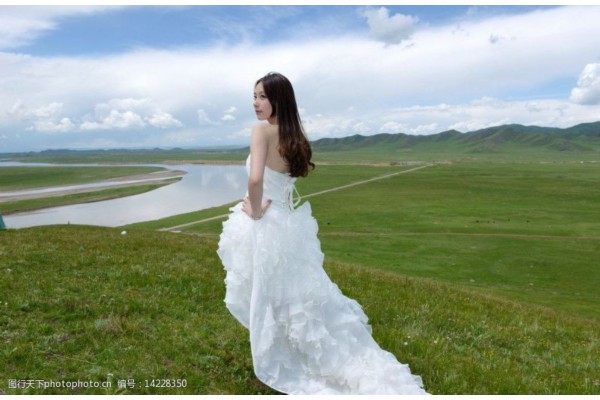 蒸百合养生之道:传统食材功效揭秘 蒸百合养生之道:传统食材功效揭秘